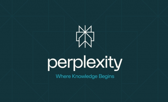 FVPerplexity^VS AI